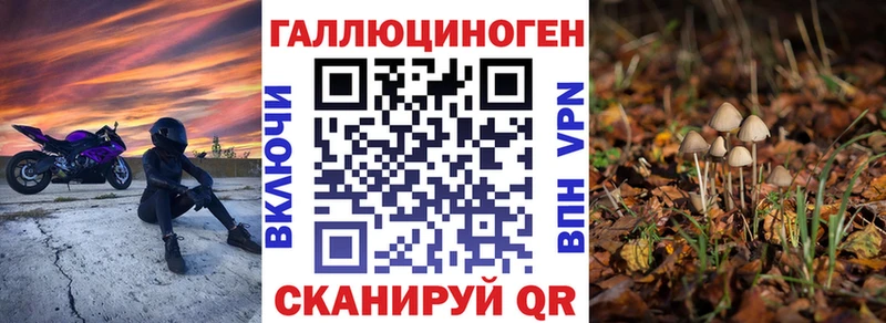 Псилоцибиновые грибы Cubensis Купить где Мосальск